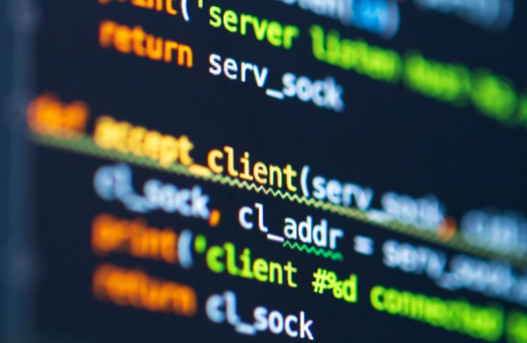 Close Up of Python Code